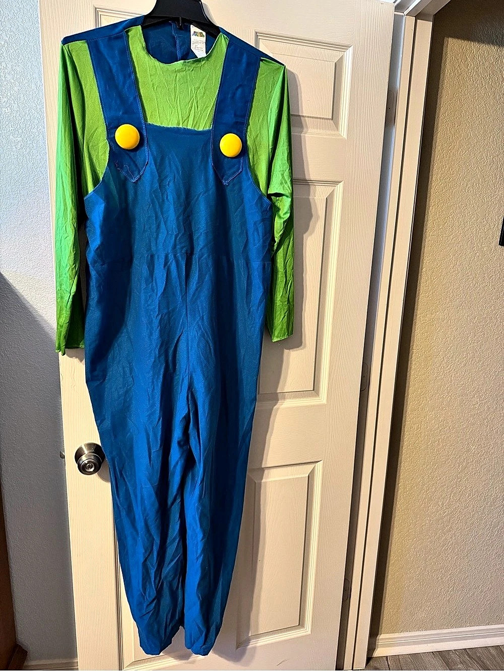 Nintendo Luigi halloween costume Men's Size XL